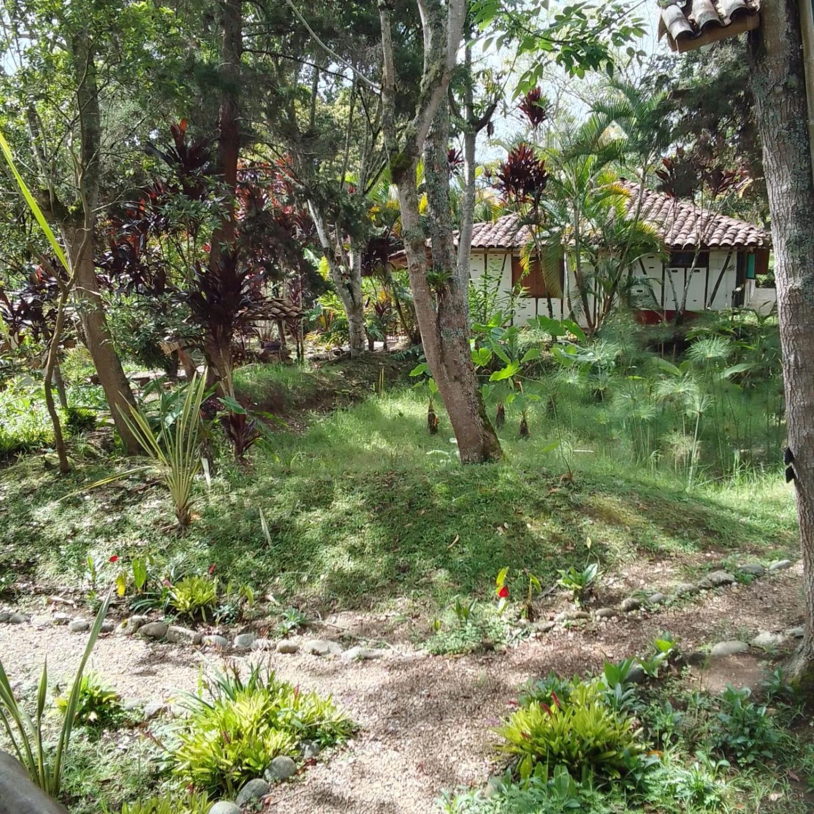 Hotel La Casa De Francois San Agustín Exterior photo
